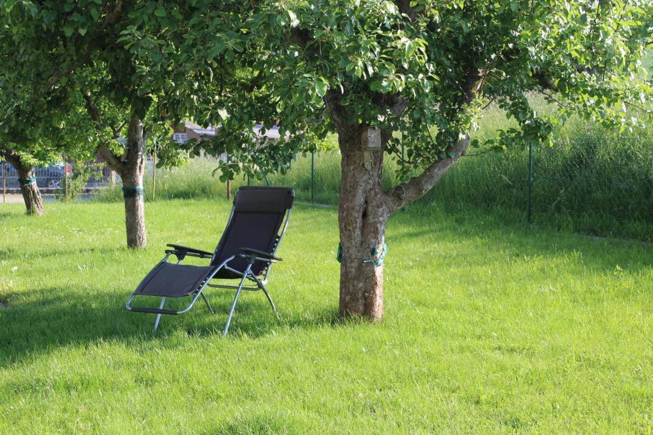 Ferienwohnung Am Kugelbaum Lunzenau Экстерьер фото
